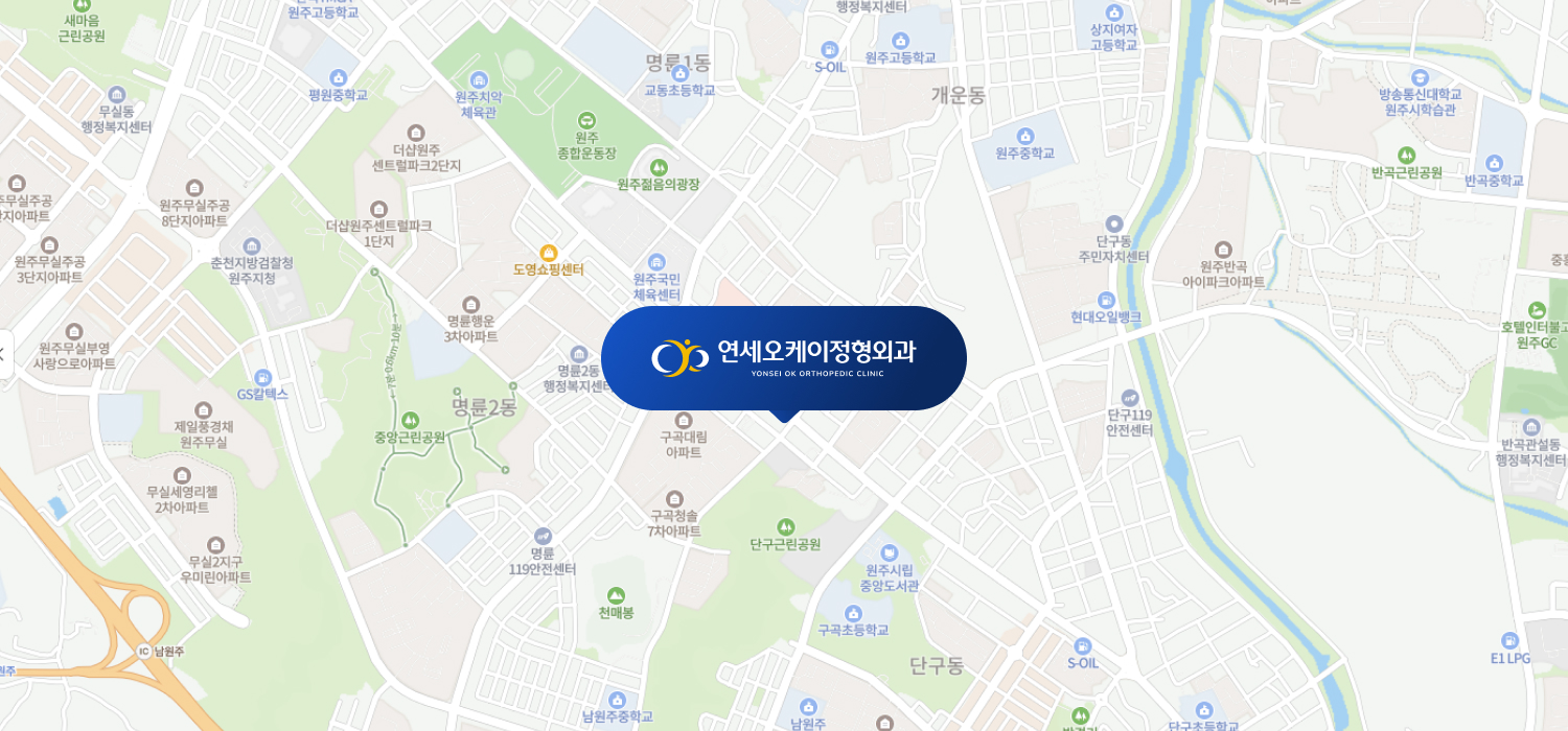임시 지도